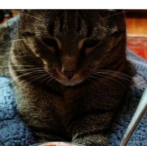 Meet your Posher, Eva